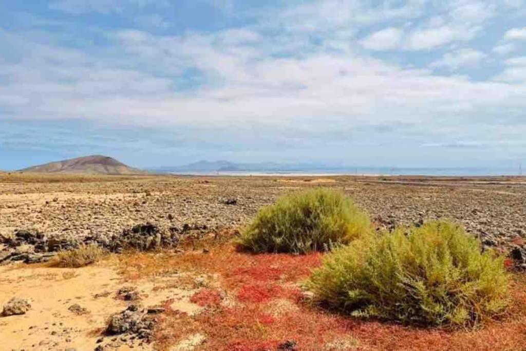 Chic&Surf Dunes View Lumineux Et Vue Superbe ! Corralejo Exterior foto